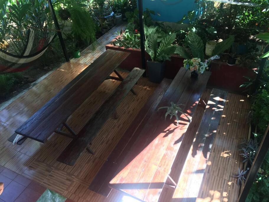 Hospedaje Valencia Osa, Cr Potrero  Luaran gambar