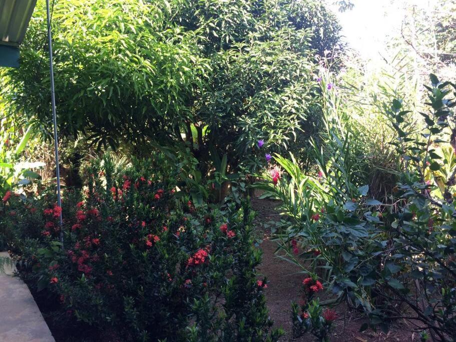 Hospedaje Valencia Osa, Cr Potrero  Luaran gambar
