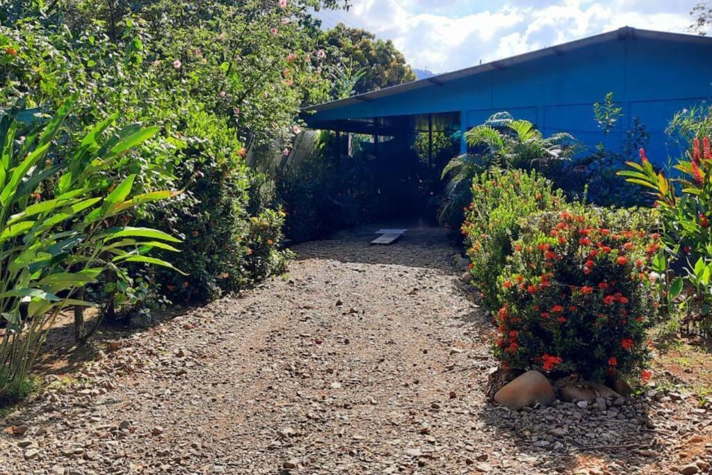 Hospedaje Valencia Osa, Cr Potrero  Luaran gambar