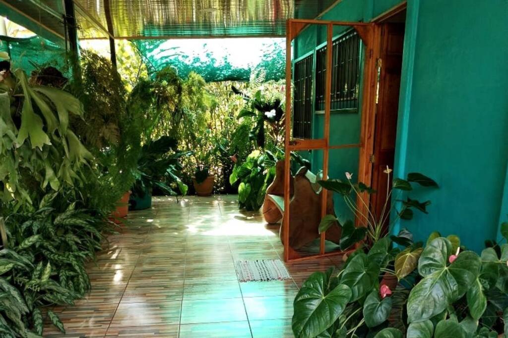 Hospedaje Valencia Osa, Cr Potrero  Luaran gambar